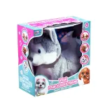 Wyrazista twarz pieska z czarnym noskiem i miękkim futerkiem