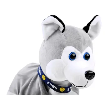 Piesek Husky leżący na brzuszku podczas zabawy