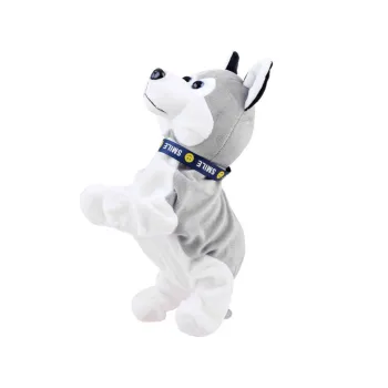 Zbliżenie na pyszczek interaktywnego Husky