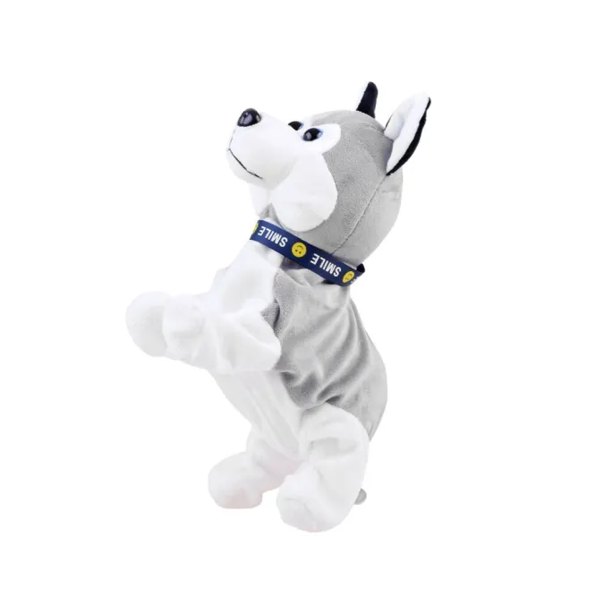 Zbliżenie na pyszczek interaktywnego Husky