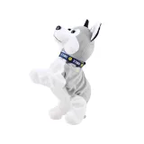 Zbliżenie na pyszczek interaktywnego Husky