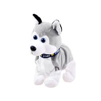 Husky podczas szczekania w trakcie reakcji na dotyk