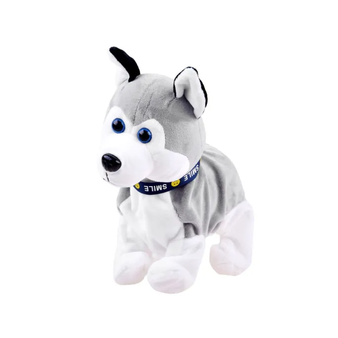 Husky podczas szczekania w trakcie reakcji na dotyk