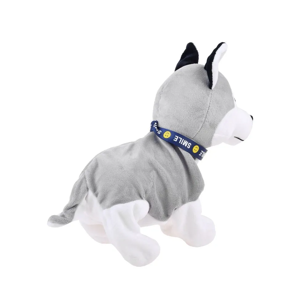 Husky podczas skomlenia i węszenia