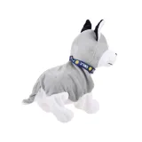 Husky podczas skomlenia i węszenia