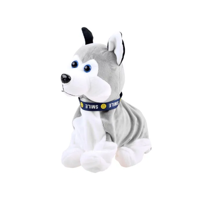 Piesek Husky w pozycji do przenoszenia przez dziecko