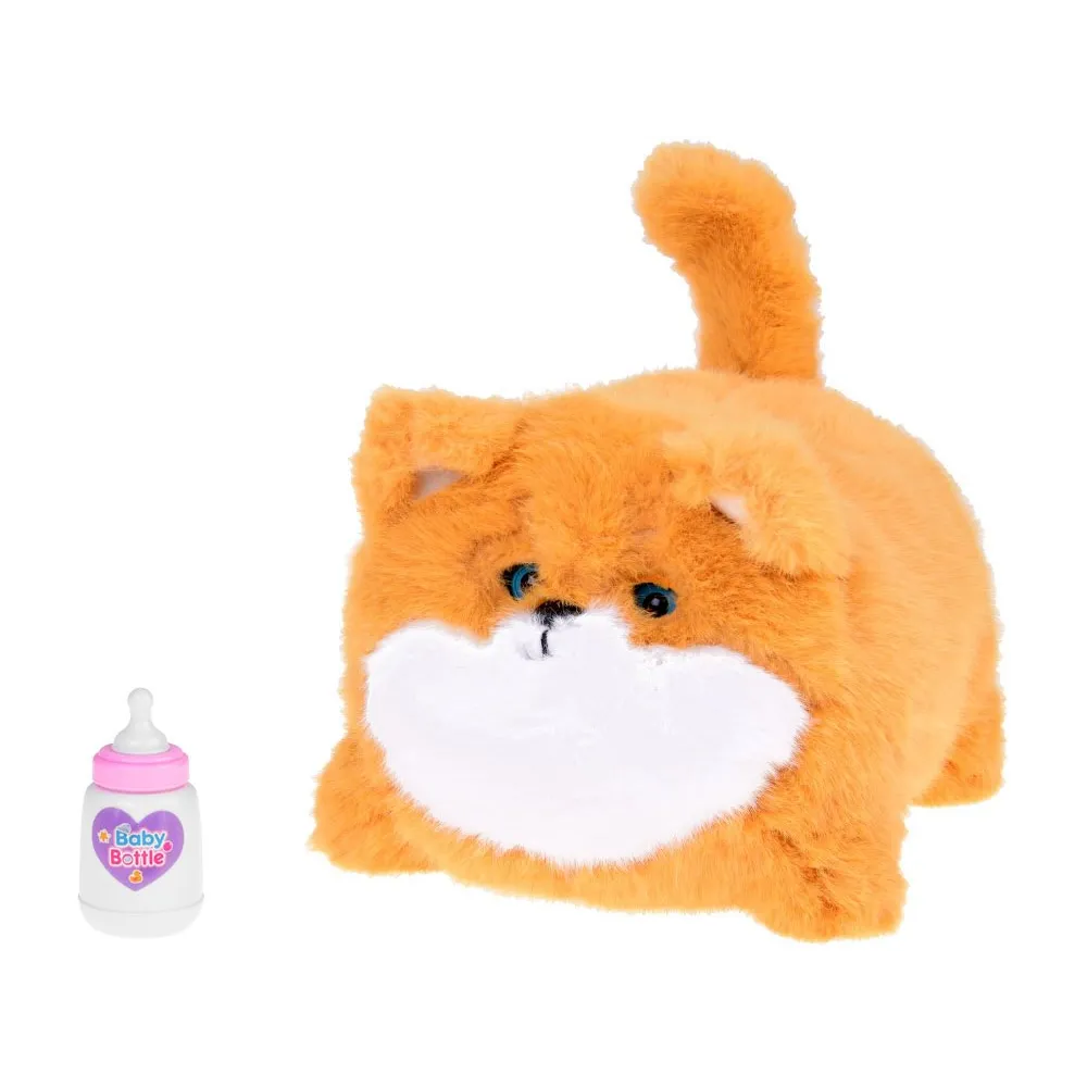 zbliżenie na wyraziste oczy pieska interaktywnego Pulpet