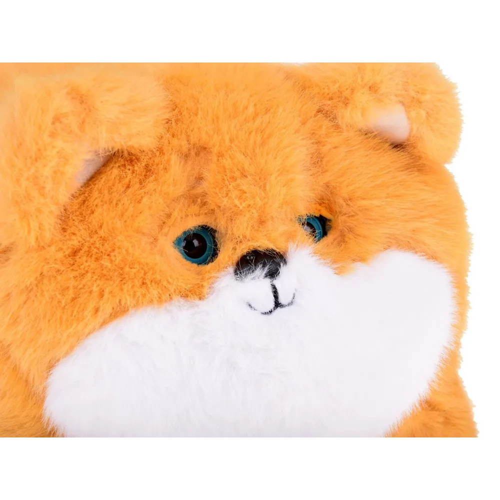 zbliżenie na puszystą sierść pieska Pulpet i jego łapki