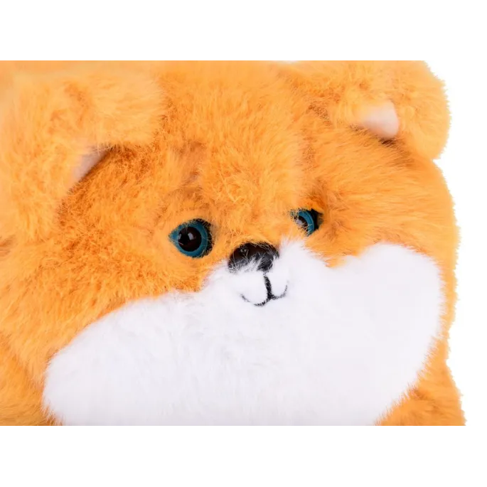 zbliżenie na puszystą sierść pieska Pulpet i jego łapki