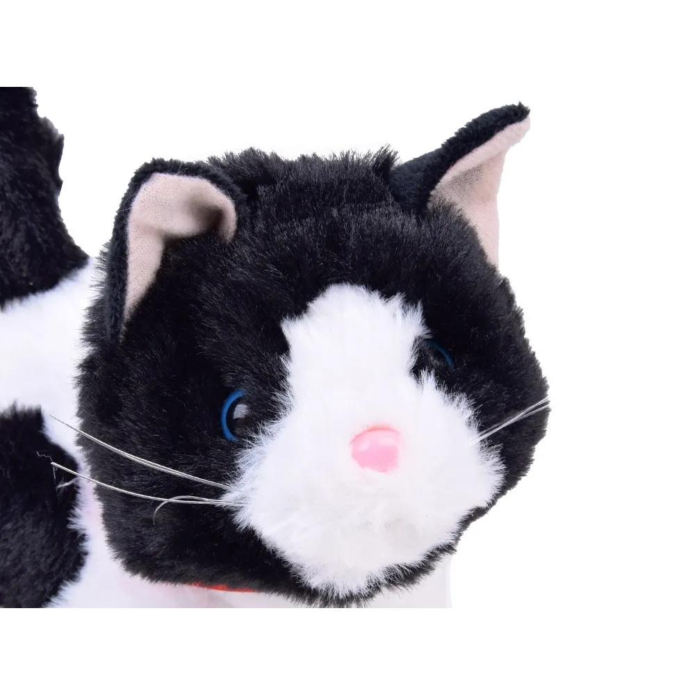 widok na bok kota łatka prezentujący miękkie futerko