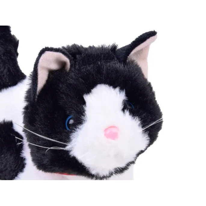 widok na bok kota łatka prezentujący miękkie futerko