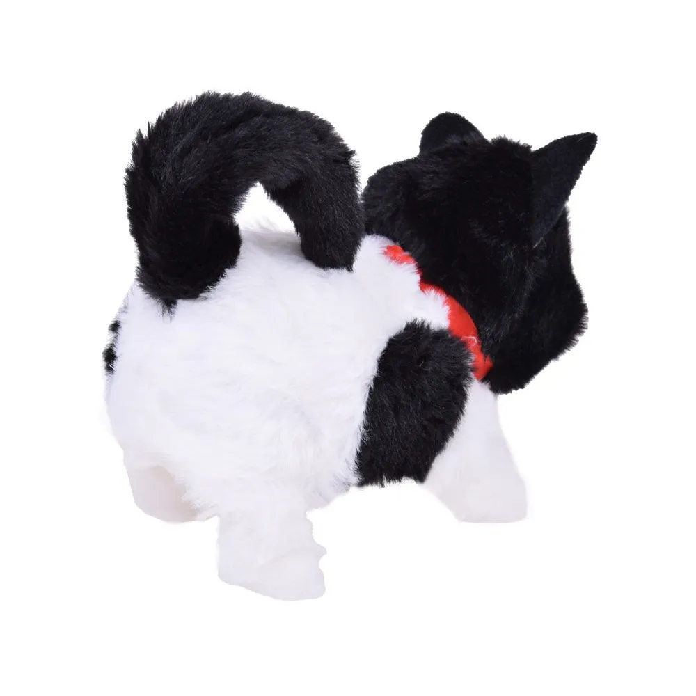 wyraźne ujęcie ogonka interaktywnego kota łatka