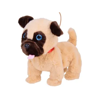 dziecko prowadzące pieska benio na smyczy