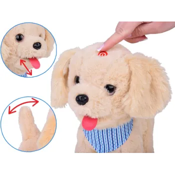 piesek tinka wykonujący efekt lizania w trakcie ruchu