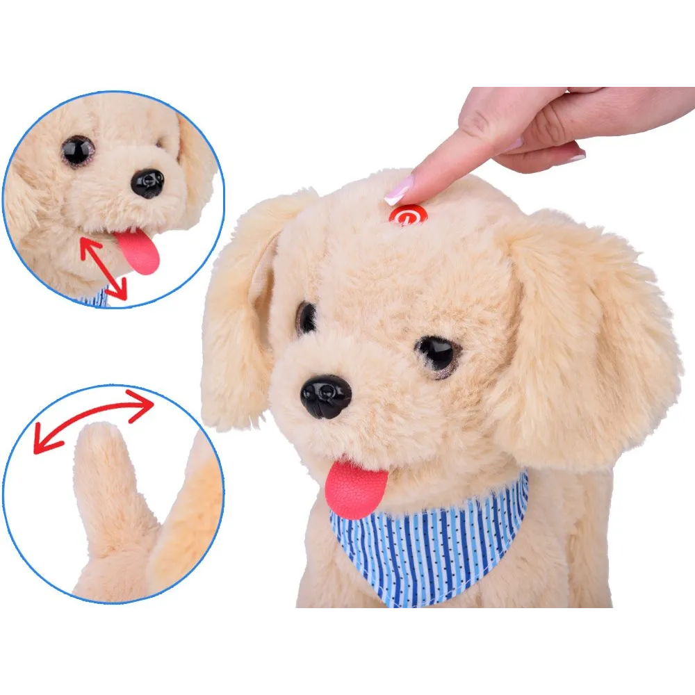 piesek tinka wykonujący efekt lizania w trakcie ruchu