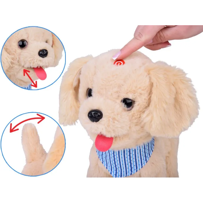 piesek tinka wykonujący efekt lizania w trakcie ruchu