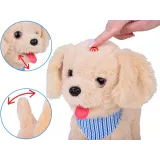 piesek tinka wykonujący efekt lizania w trakcie ruchu