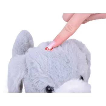 zbliżenie na biało-szare futerko charliego