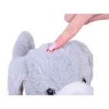 zbliżenie na biało-szare futerko charliego