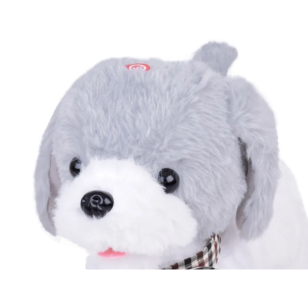 charlie z kolorową muszką na szyi