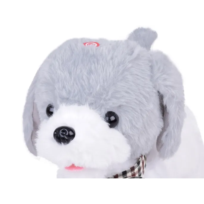 charlie z kolorową muszką na szyi