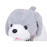 charlie z kolorową muszką na szyi