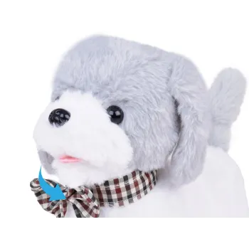 dziecko sterujące pieskiem charlie za pomocą pilota