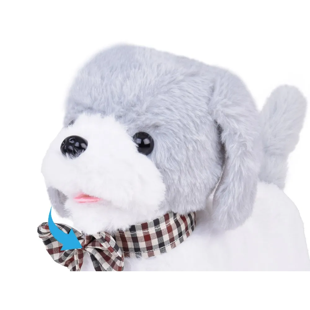 dziecko sterujące pieskiem charlie za pomocą pilota