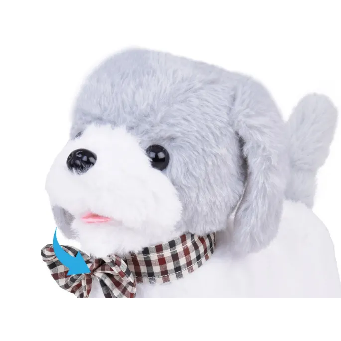 dziecko sterujące pieskiem charlie za pomocą pilota