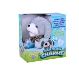 widok całej sylwetki pieska charlie z pilotem na białym tle