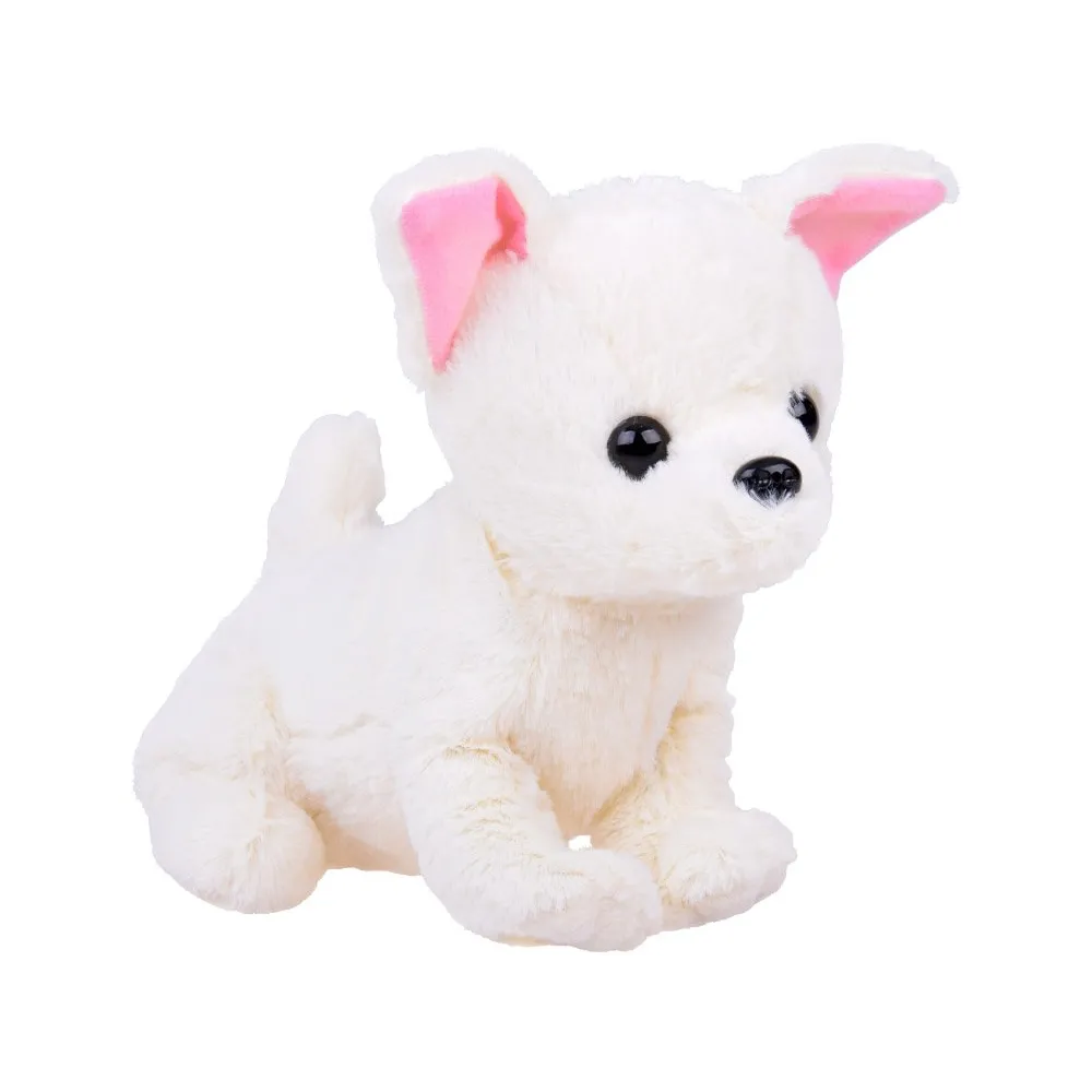 zbliżenie na czarne oczka i nosek pieska SISI