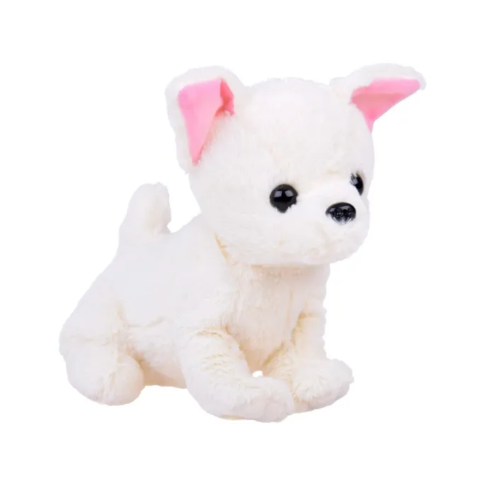 zbliżenie na czarne oczka i nosek pieska SISI