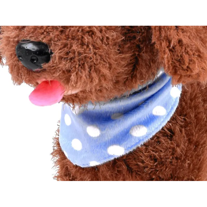 Piesek w czasie chodzenia po płaskiej podłodze