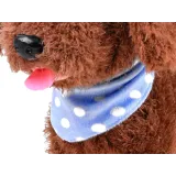 Piesek w czasie chodzenia po płaskiej podłodze