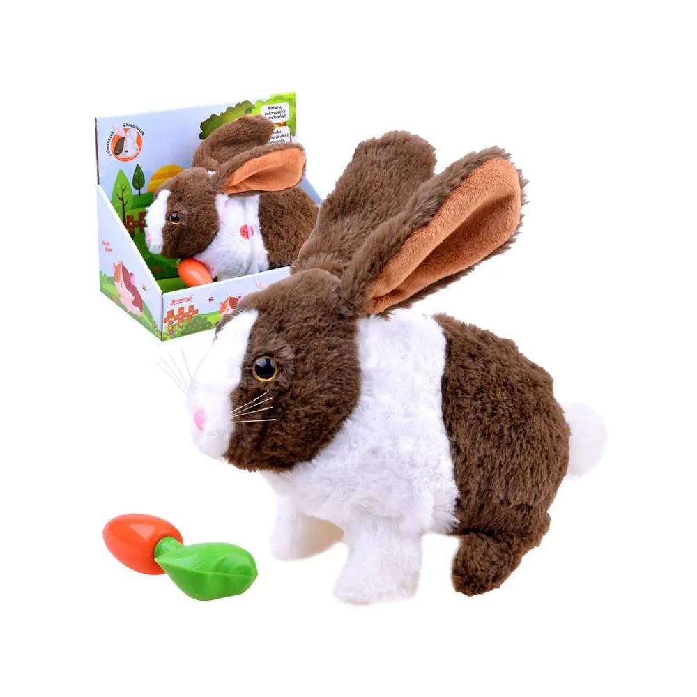 interaktywny królik chrupaczek stojący na jasnym tle