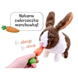 dziecko podaje marchewkę królikowi do pyszczka