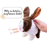 króliczek w trakcie chrupania marchewki