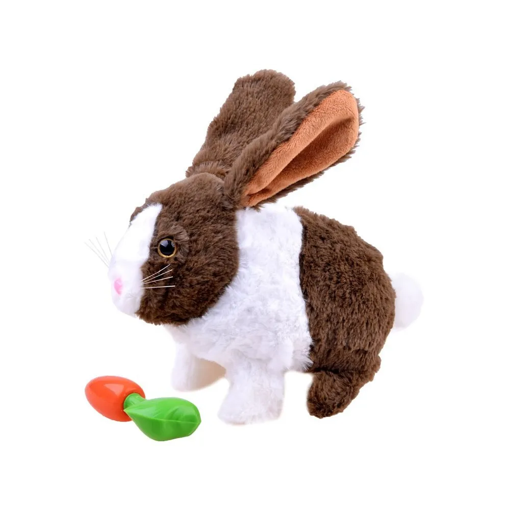 zestaw: królik i marchewka obok siebie