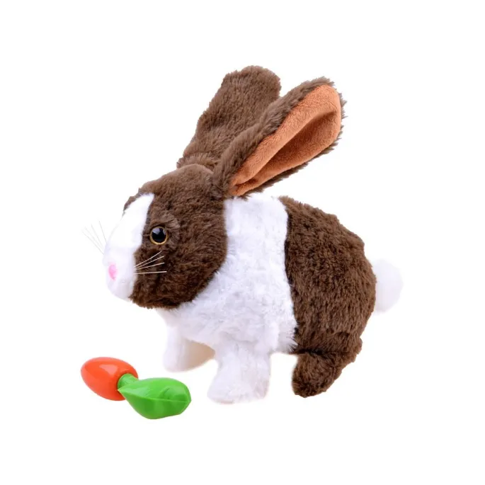 zestaw: królik i marchewka obok siebie