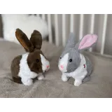 króliczek wydający przyjazne dźwięki podczas zabawy