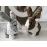 chłopiec i dziewczynka bawią się kicającym królikiem