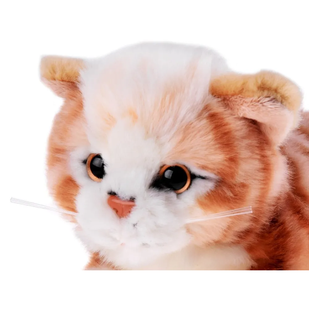 Maskotka rudy kotek na jasnym tle, pokazująca miękką powierzchnię