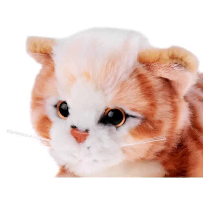 Maskotka rudy kotek na jasnym tle, pokazująca miękką powierzchnię