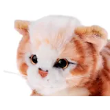 Maskotka rudy kotek na jasnym tle, pokazująca miękką powierzchnię