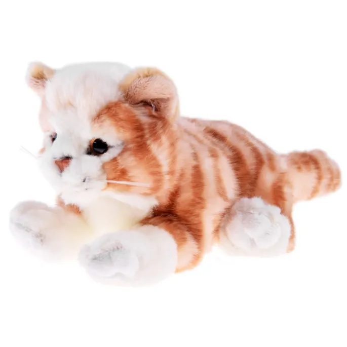 Maskotka kot rudy idealna do przytulania, widok w ujęciu z góry