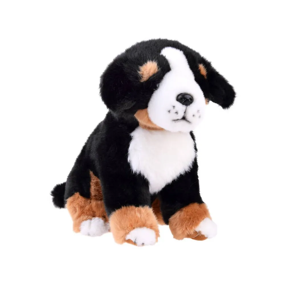 Maskotka pies berneński siedzący o wysokości 20 cm na białym tle