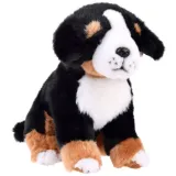 Maskotka pies berneński siedzący o wysokości 20 cm na białym tle