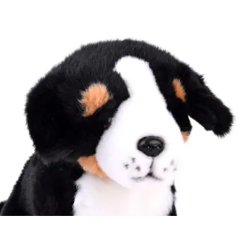 Zbliżenie na twarz i pyszczek maskotki psa berneńskiego