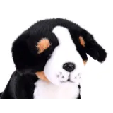 Zbliżenie na twarz i pyszczek maskotki psa berneńskiego