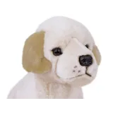 Zbliżenie na realistyczne detale twarzy maskotki labradora